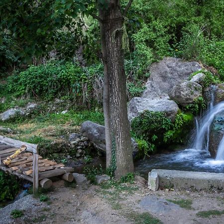 Babutaal Resort Chakrāta Eksteriør bilde