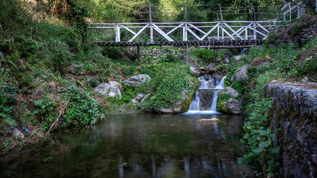 Babutaal Resort Chakrāta Eksteriør bilde